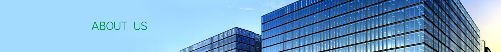 Company Profile
